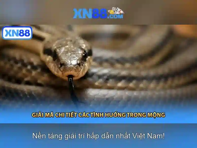 xn88: Nền tảng trò chơi và công nghệ thông minh