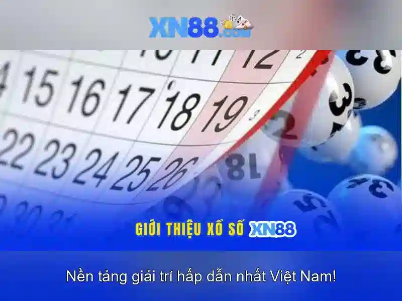 Lịch sử và nguồn gốc XN88