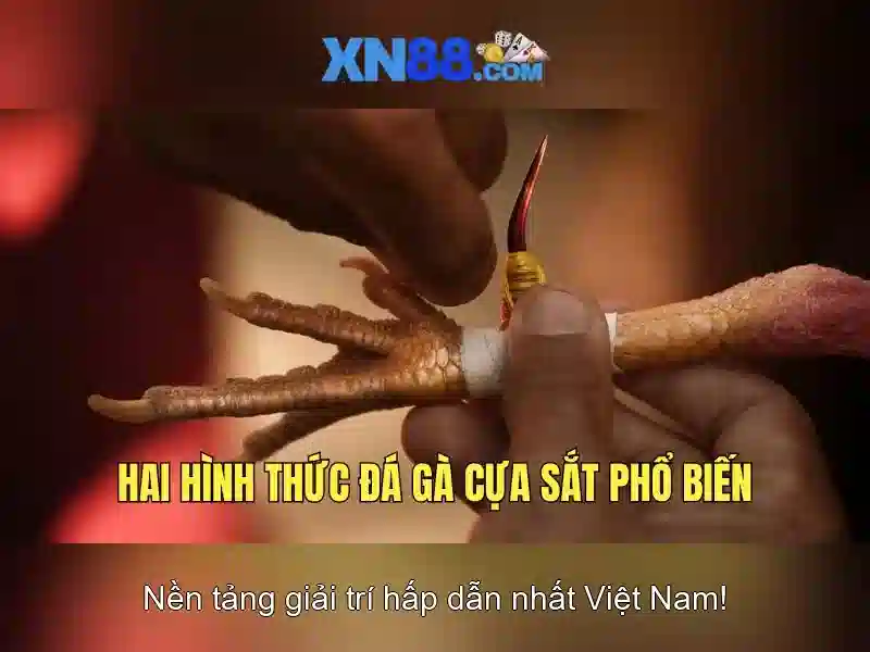 Các trò chơi và trải nghiệm\n\n<h2><b>An toàn và bảo mật</b></h2>\n<p><span style=