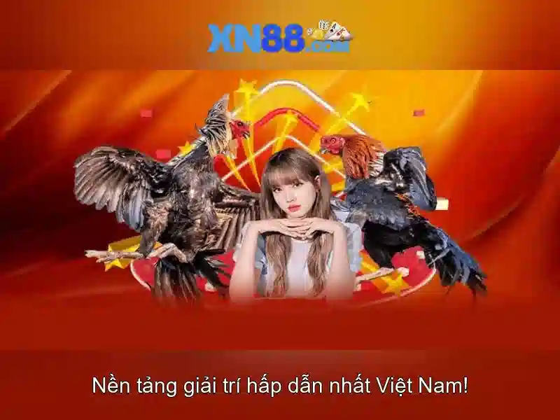 Xn88: Khám phá nền tảng giải trí và cá cược trực tuyến