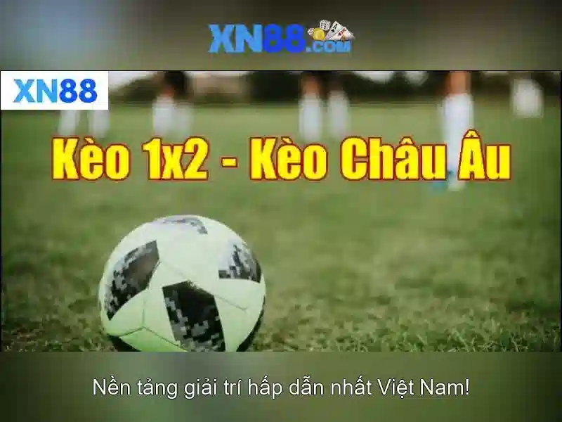 Cách sử dụng Xn88 trong cuộc sống hàng ngày