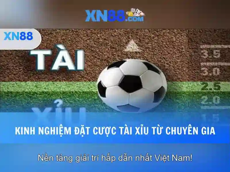 Giới thiệu về xn88
