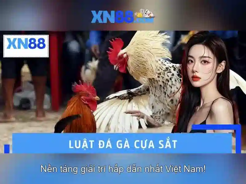 Giới thiệu về xn88