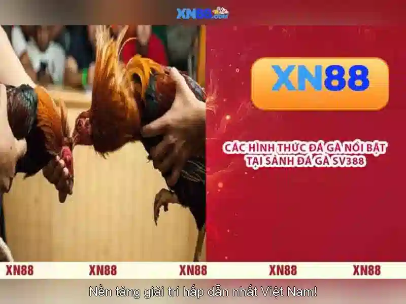 Giới thiệu về xn88