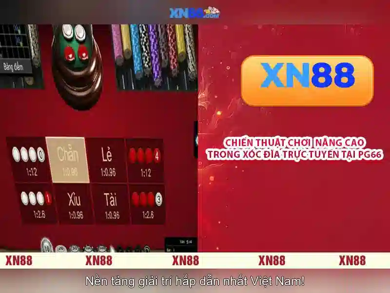 Cổng trò chơi và lựa chọn cược
