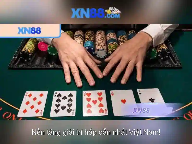 xn88: Đánh giá và tổng quan