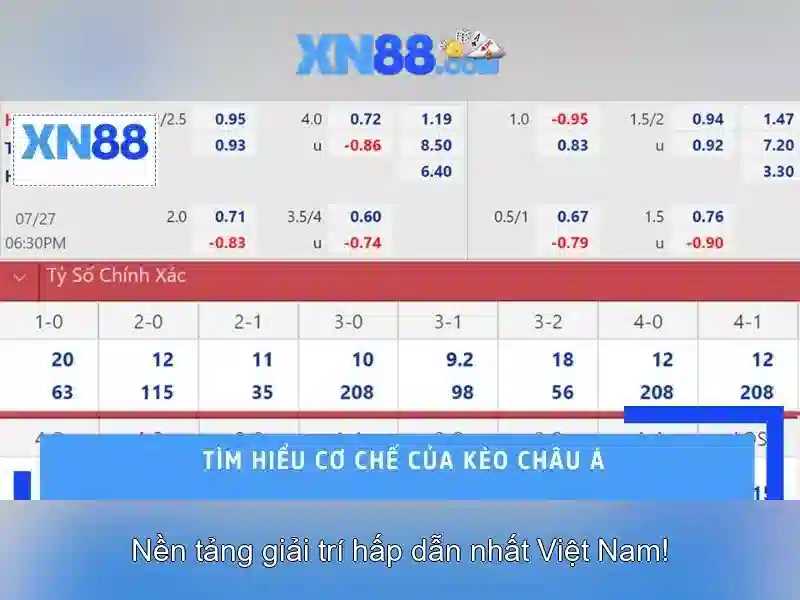 Định vị và nguồn gốc xn88