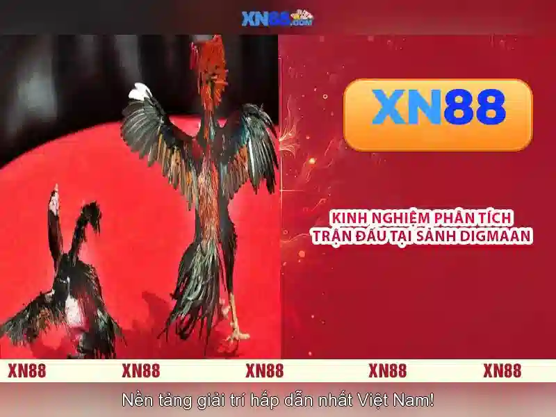 Xn88 — Nền tảng giải trí trực tuyến đáng tin cậy