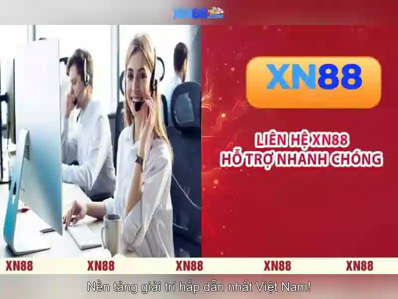 Định hướng phát triển và cộng đồng