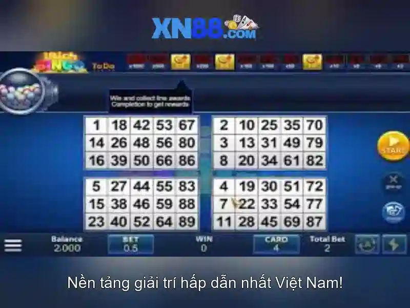 Giới thiệu về xn88 và những điều bạn cần biết