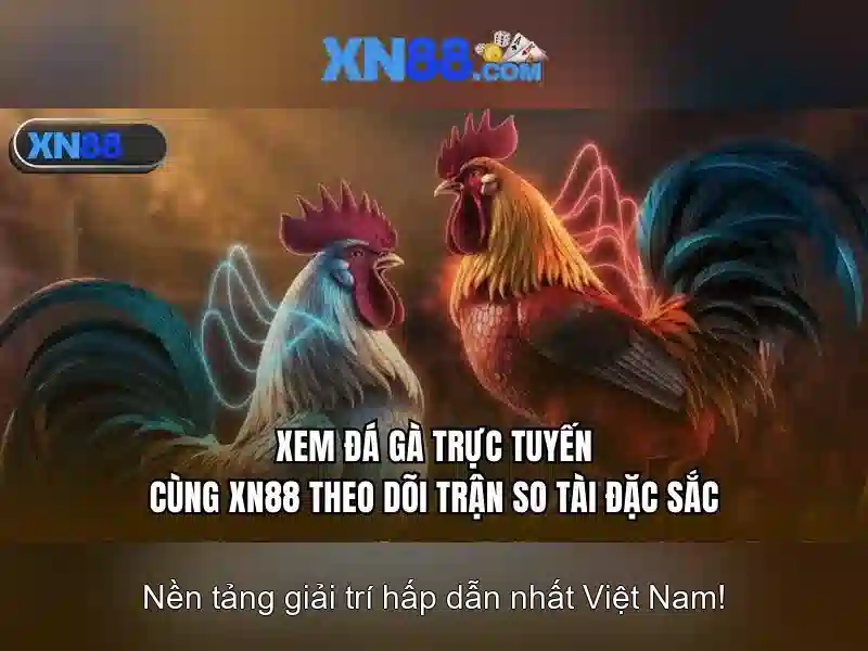 XN88: Nền tảng cá cược trực tuyến và cộng đồng người chơi