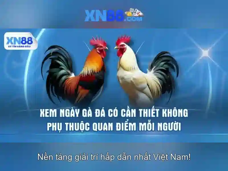 xn88: Nền tảng cá cược trực tuyến và trải nghiệm người dùng