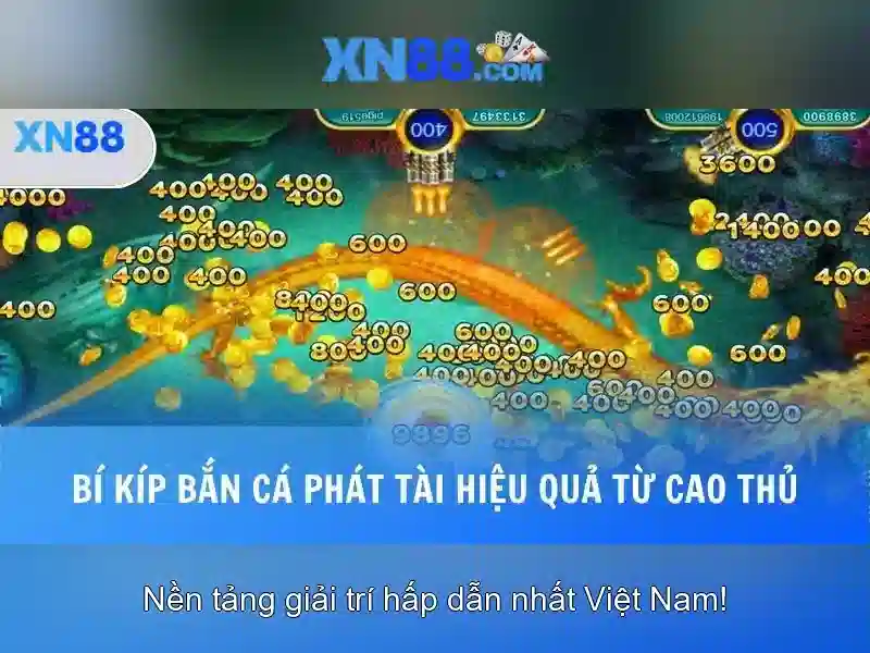 Đặc điểm nổi bật của Xn88\n<p><span style=