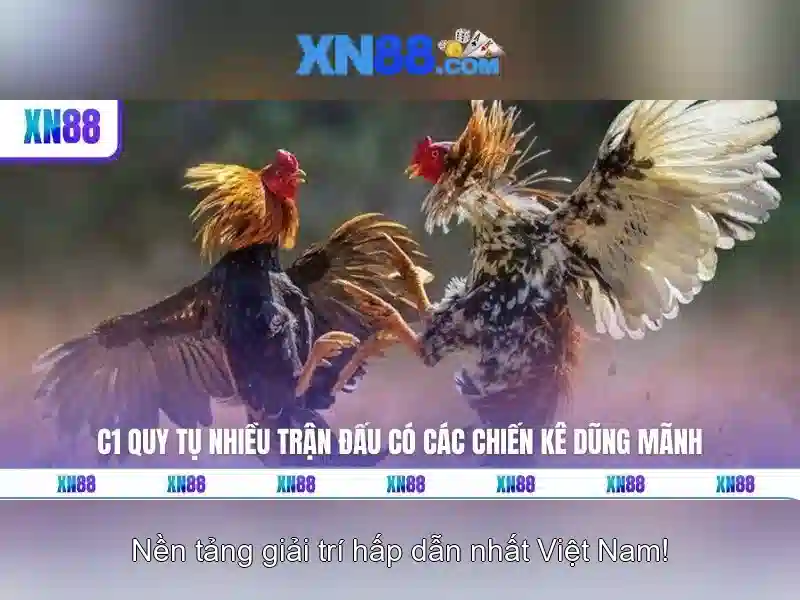 Giới thiệu về xn88 và những điều bạn cần biết
