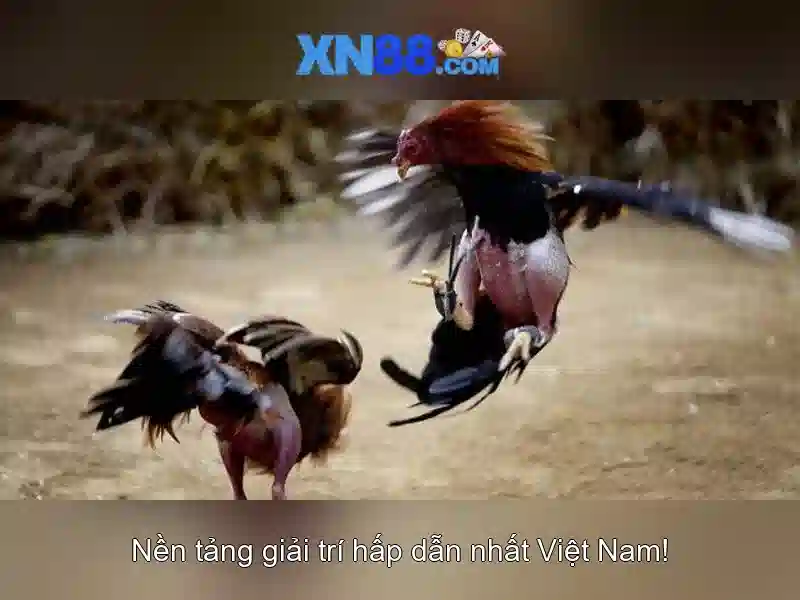 trang chủ xn88 – tổng quan chủ đề và giá trị cốt lõi