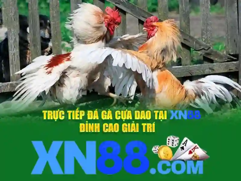 Banner hướng dẫn rút tiền XN88 an toàn và nhanh chóng