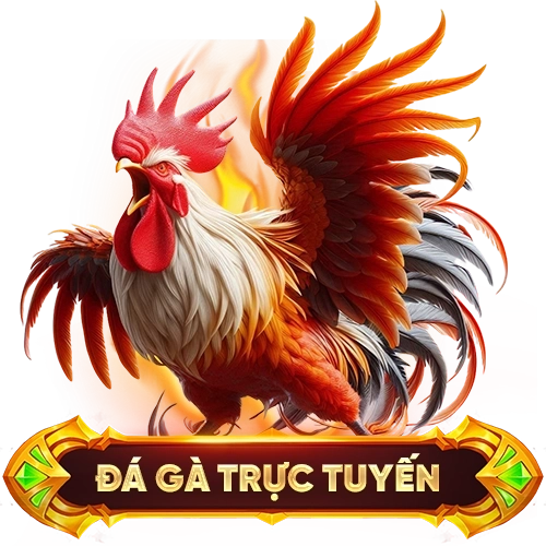 đá gà trực tuyến XN88